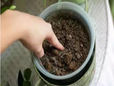 油煙機流出的廢油，一滴也別倒掉！解決了許多家庭大煩惱！